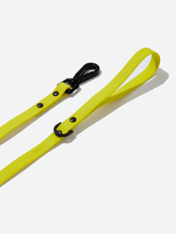 QALO Dog Leash - Image 4