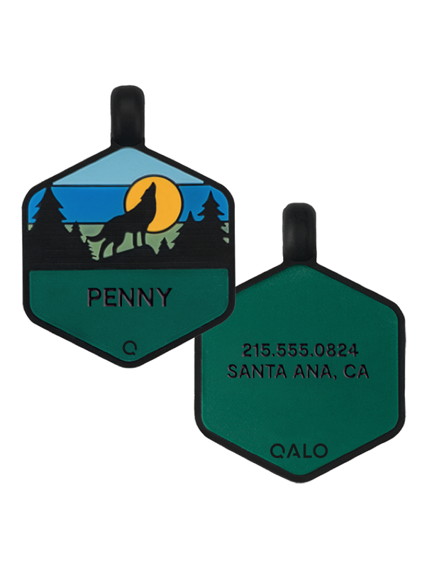 Dusk Wild One Silicone Dog ID Tag - Image 2