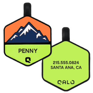 Neon Mountain Silicone Dog ID Tag