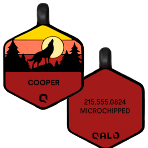 Sunrise Wild One Silicone Dog ID Tag