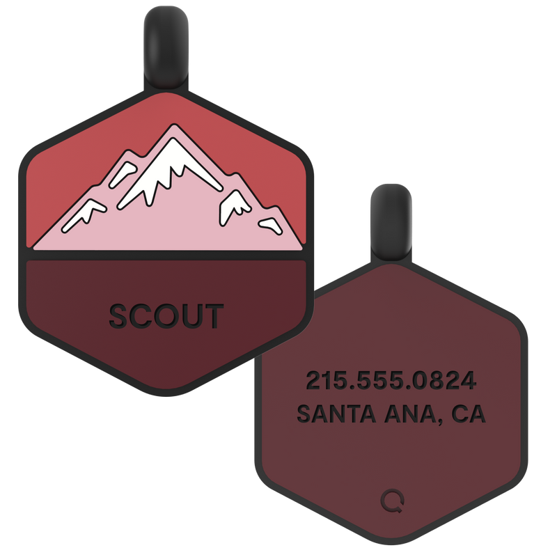Mountain Silicone Dog ID Tag - Image 6