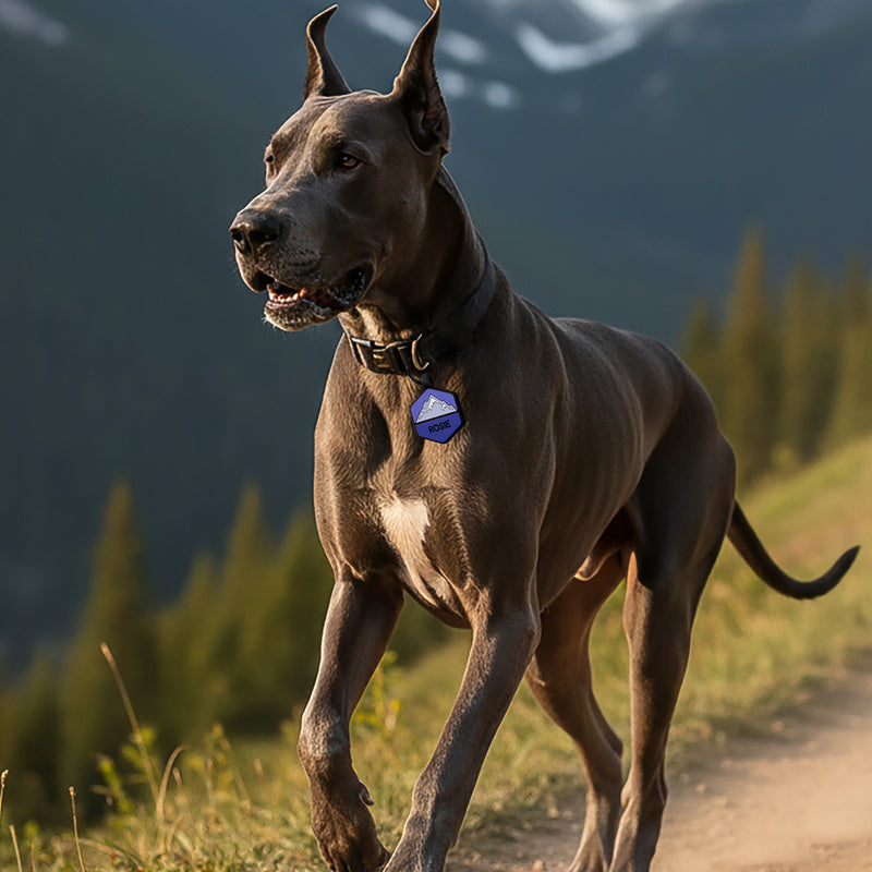 Mountain Silicone Dog ID Tag - Image 2