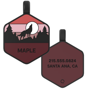 Wild One Silicone Dog ID Tag