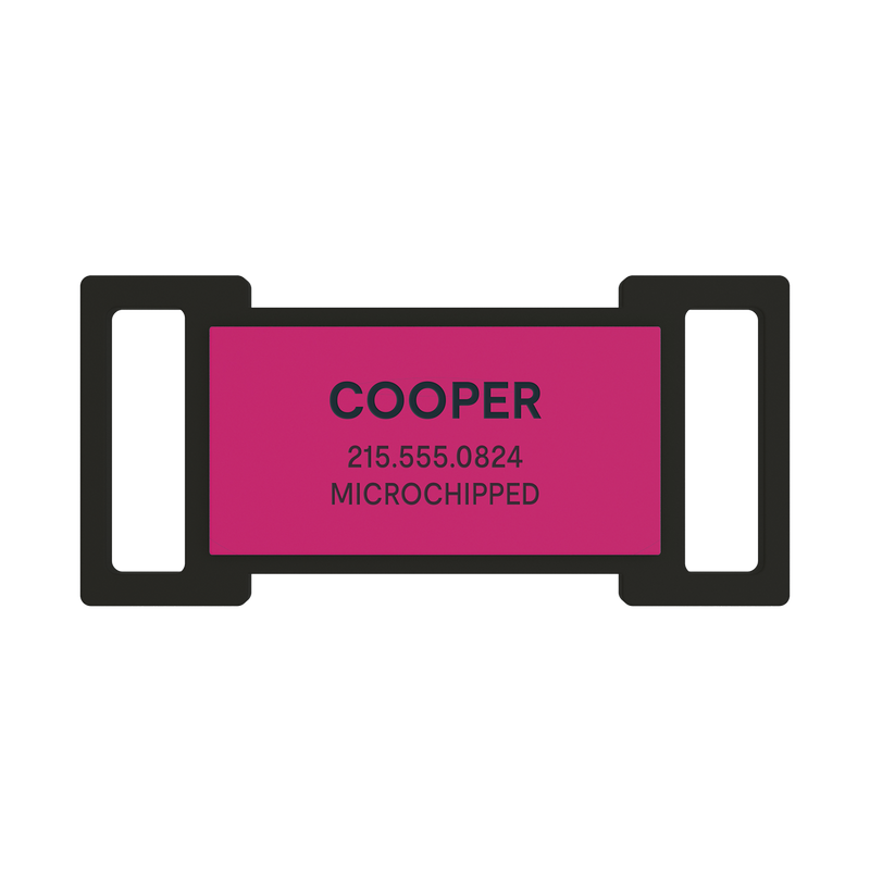 Slide-On Dog ID Tags - Image 5