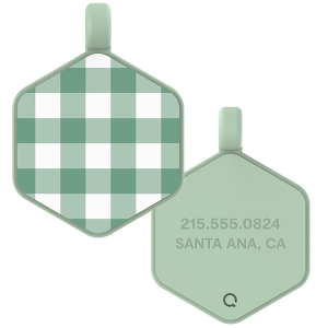 Gingham Hex Dog Tag