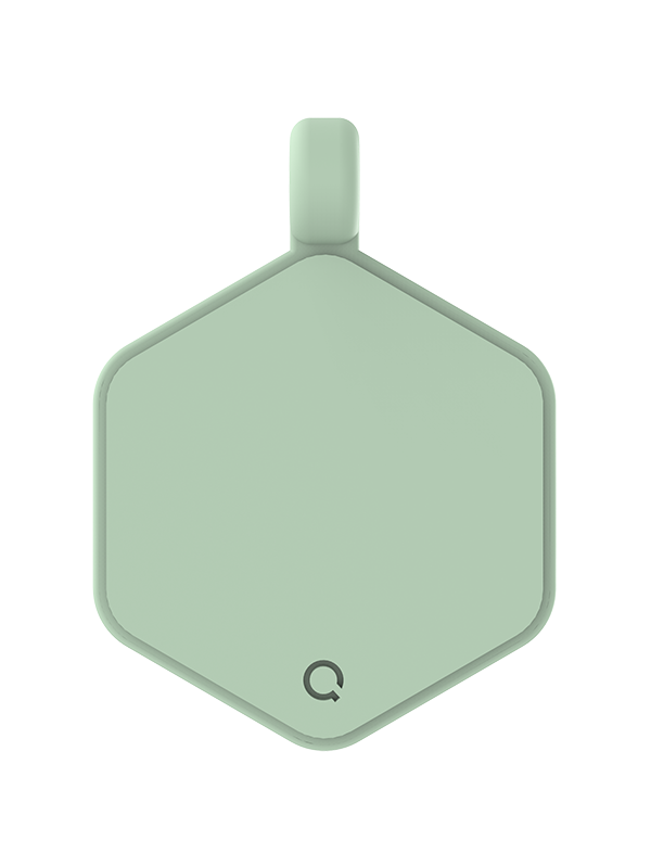 Gingham Hex Dog Tag - Image 3