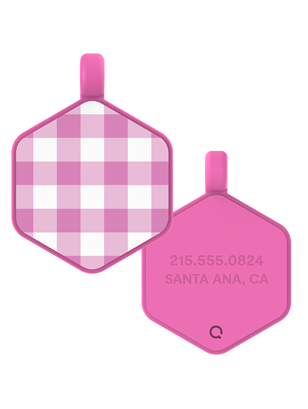 Gingham Hex Dog Tag - Image 5