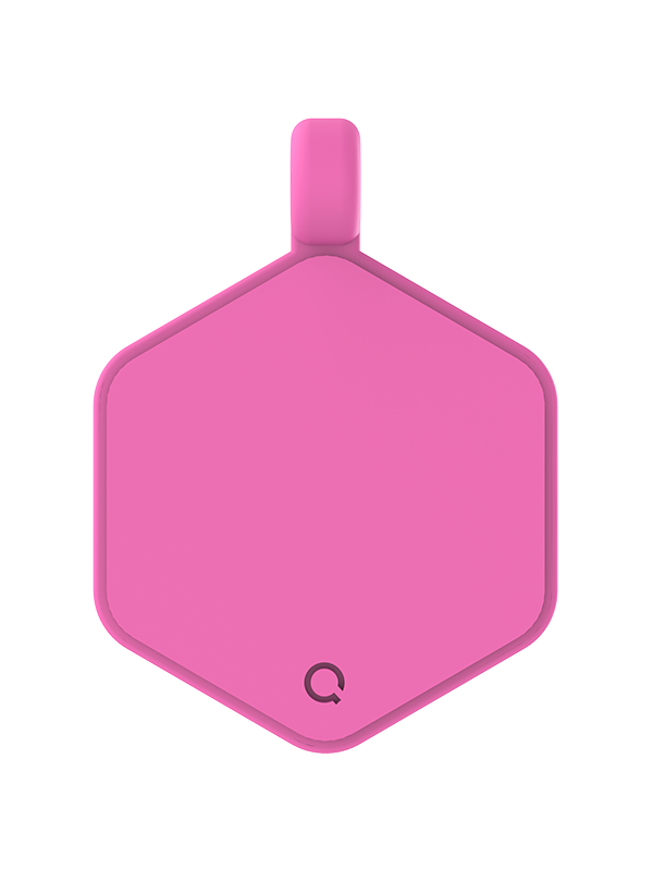 Park Pals Hex Dog Tag - Image 3