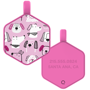 Park Pals Hex Dog Tag