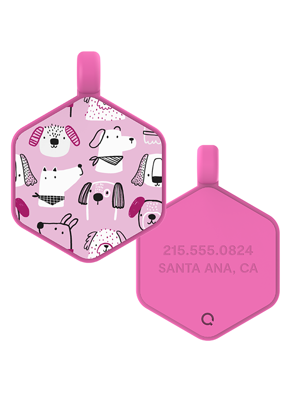 Park Pals Hex Dog Tag