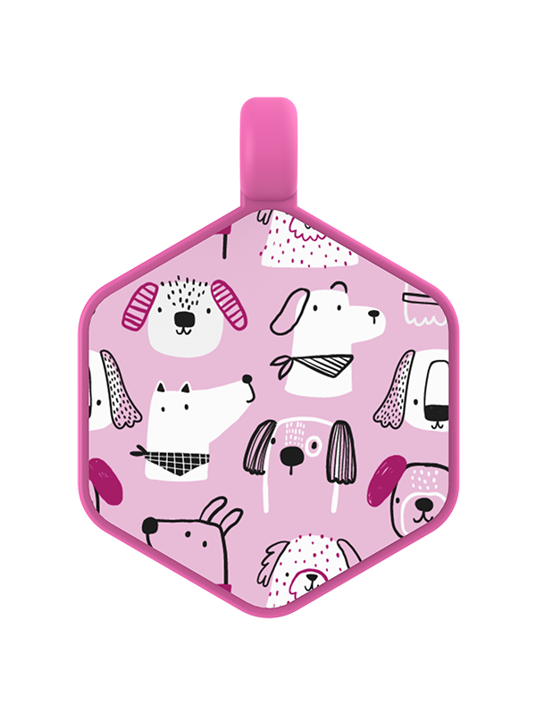 Park Pals Hex Dog Tag - Image 2
