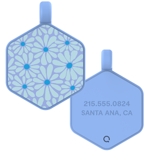 Daisy Hex Dog Tag