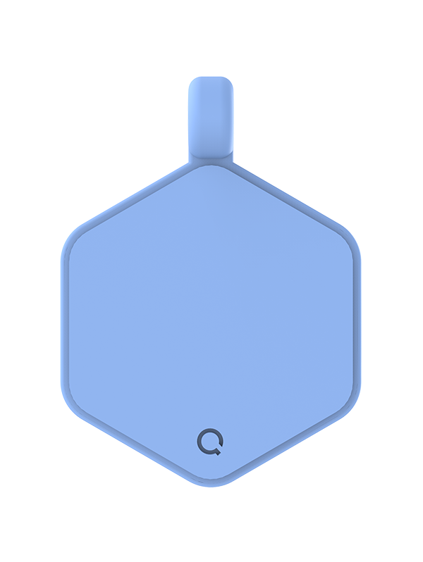 Daisy Hex Dog Tag - Image 3