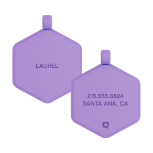 Violet Glow Classic Hex Dog ID Tag