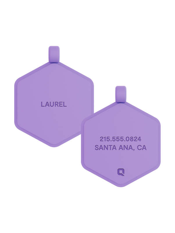 Violet Glow Classic Hex Dog ID Tag