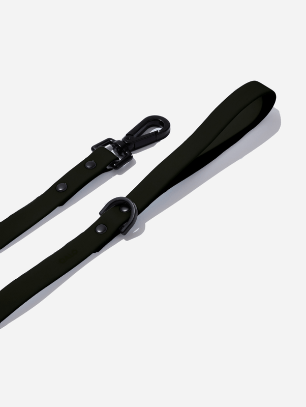 QALO Dog Leash - Image 5