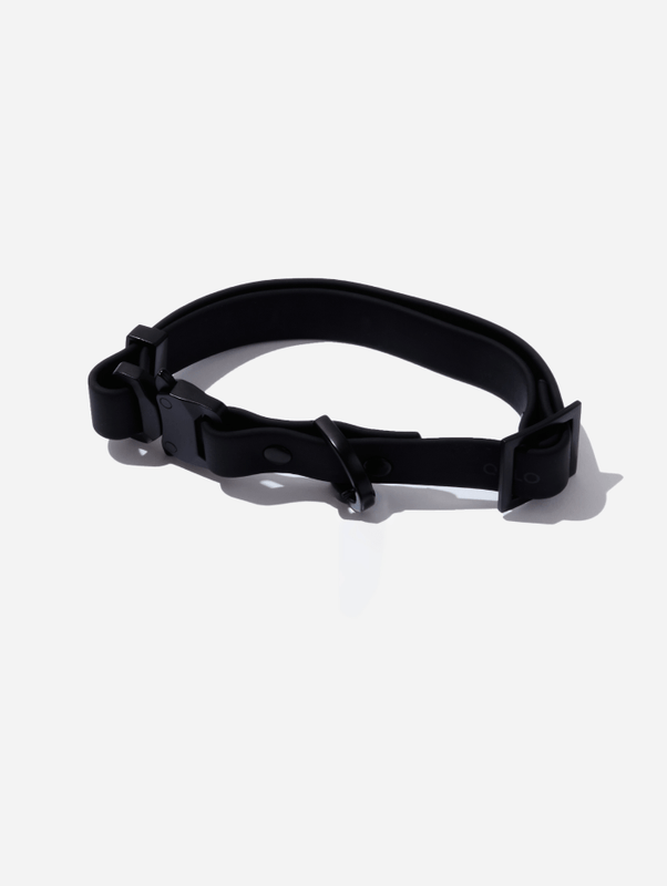 QALO Dog Collar - Image 4