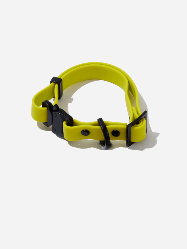 QALO Dog Collar - Image 3