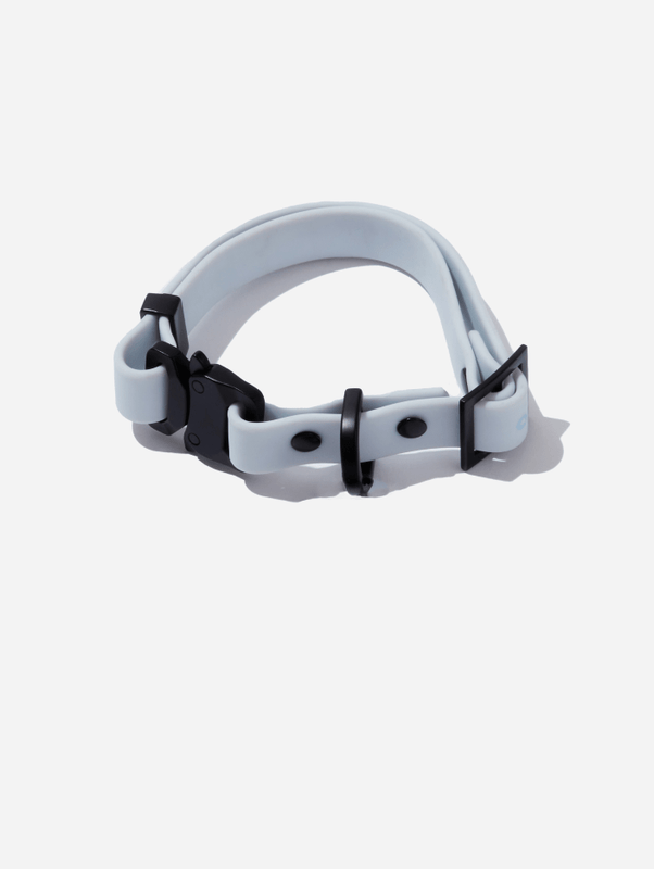 QALO Dog Collar - Image 5
